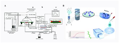 A Micro Optofluidic Platform For The Real Time Continuous Detection