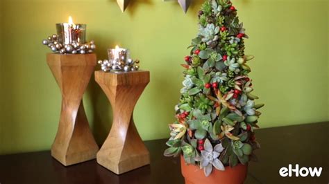 This holiday season, we are combining two of our favorites in one. How to Make a Succulent Christmas Tree - YouTube