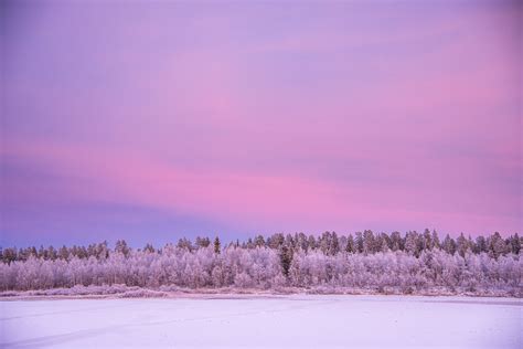 Pink Skies And Freezing Cold This Is Whats Going On In Lapland Right