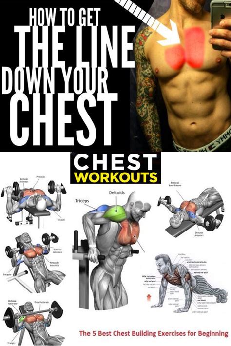 Get The Definition In Your Chest Workout Training Programs Chest
