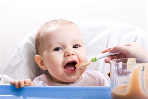 Traditionally, infant cereals have been the first foods introduced to babies, followed by single ingredient purees stay with your baby during mealtimes. Babies Being Fed Solid Food Too Early? | Super Nutrition ...