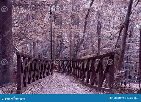Wooden Bridge In The Autumn Forest On Which Lies Foliage Stock Photo