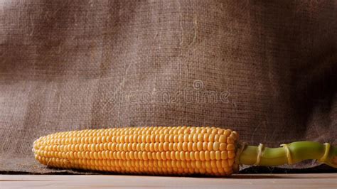 Table Top With Maize Corn Corn Soup And Popcorns Stock Photo Image