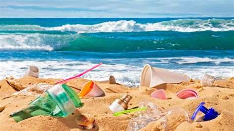 Beach Clean A Major Marine Litter Campaign On Mediterranean Beaches