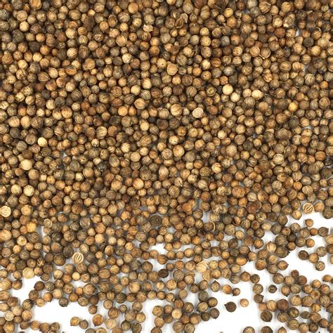 Coriander Seeds, Whole - 55 Lb | San Francisco Herb Company