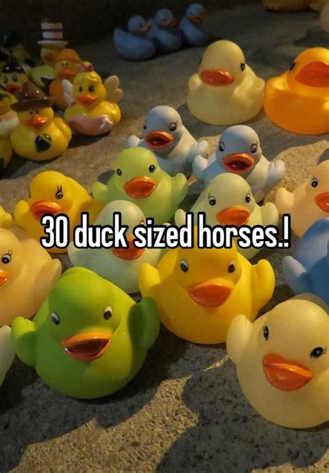 30 Duck Sized Horses