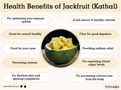 Discover 140 Jackfruit Benefits For Hair Poppy