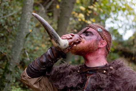 What You Need To Know About Viking Drinking Horns The Viking Herald