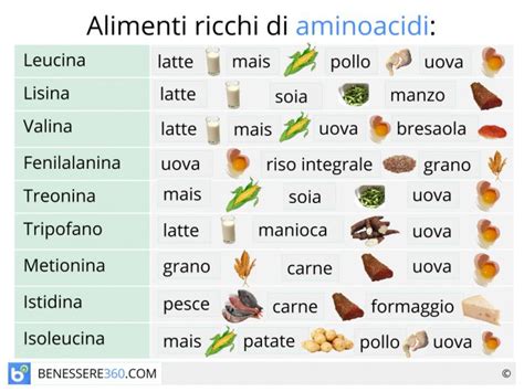 Contenuto (mg/100 grammi di prodotto edibile) in aminoacidi ramificti (bcaa) di alcuni tra i più comuni alimenti animali e vegetali : Aminoacidi: cosa sono? A cosa servono? Tipi, benefici e ...