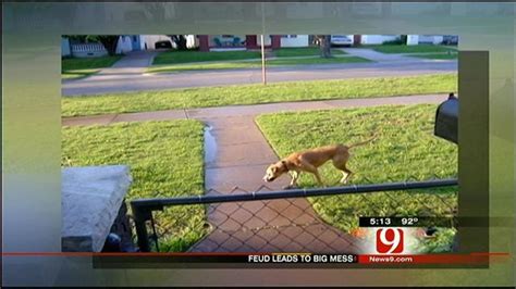 Police Fine Okc Couple Accused Of Letting Dog Poop On Neighbors Lawn