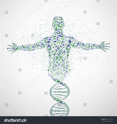 Abstract Model Man Dna Molecule Eps Stock Vector 103017107 Shutterstock