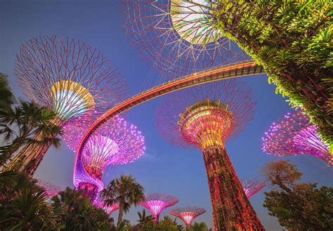 Singapore Gardens By The Bay Bloggardens By The Bay Singaporehow To