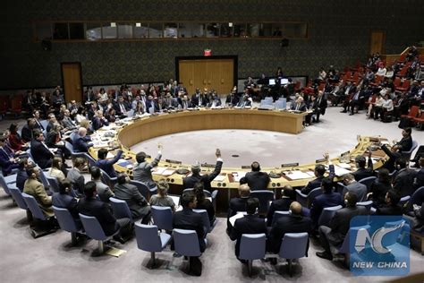 Un General Assembly To Elect 5 New Security Council Members Xinhua