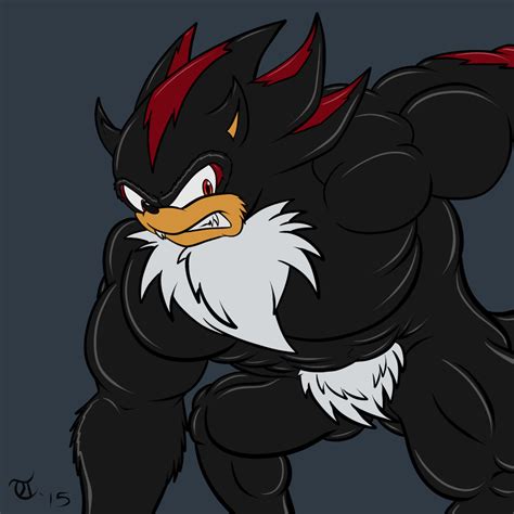 Edgy X2 Shadow The Werehog By Goldpaladinsevlow On Deviantart