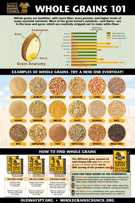 Grain Anatomy