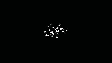 3840x2160 Birds Flying Minimalist Dark 4k 4k Hd 4k Wallpapersimages