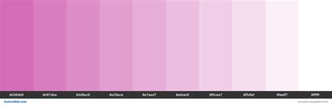 Tints Xkcd Color Purplish Pink Ce5dae Hex Colors Palette Colorswall