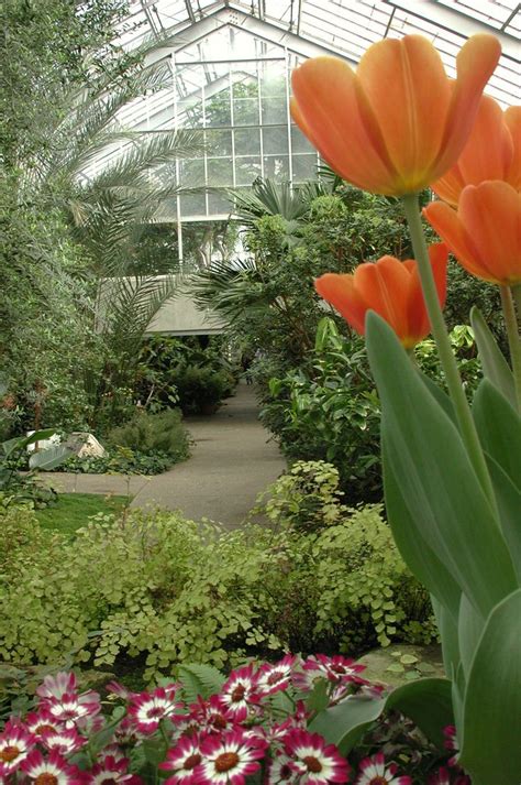 Botanical Gardens Detroit Michigan Beautiful Flower Arrangements And