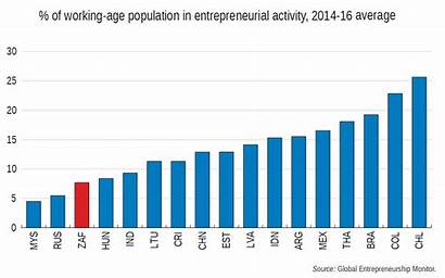 South Africa Graphs Entrepreneur Skills Entrepreneurs Population