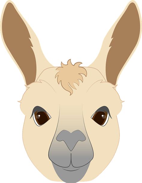 Free Llama Head Clipart Download Free Llama Head Clipart Png Images