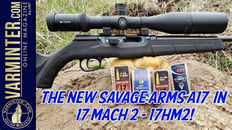 The New Savage Arms A17 In 17 Mach 2 17hm2 Youtube