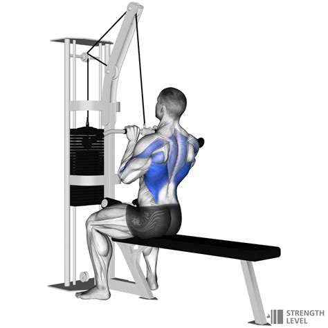 Close Grip Lat Pulldown Standards For Men And Women Kg Strength Level