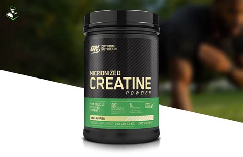 Micronized Creatine By Optimum Nutiriton Mr Supplement Australia