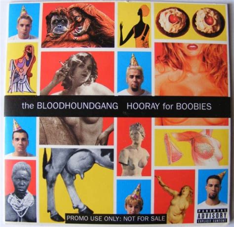 Bloodhound Gang Hooray For Boobies Vinyl Records Lp Cd On Cdandlp