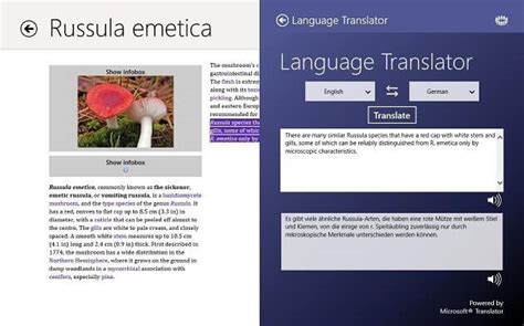 Translator resume sample inspires you with ideas and examples of what do you put in the objective, skills, responsibilities translator resume sample. Translate Easy in Windows 10 With Language Translator App