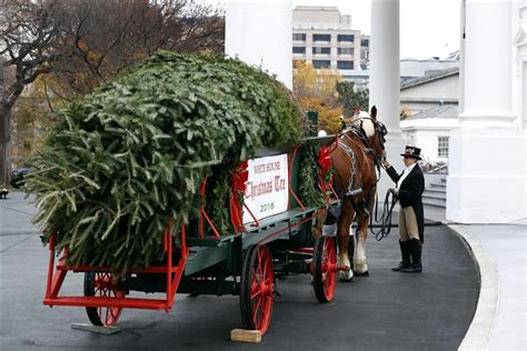 First Lady Accepts White House Christmas Tree From