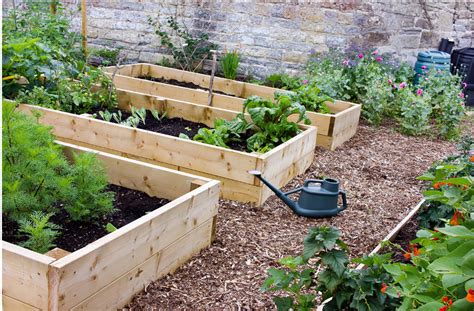 How To Build A Raised Garden Bed With Wood Builders Villa