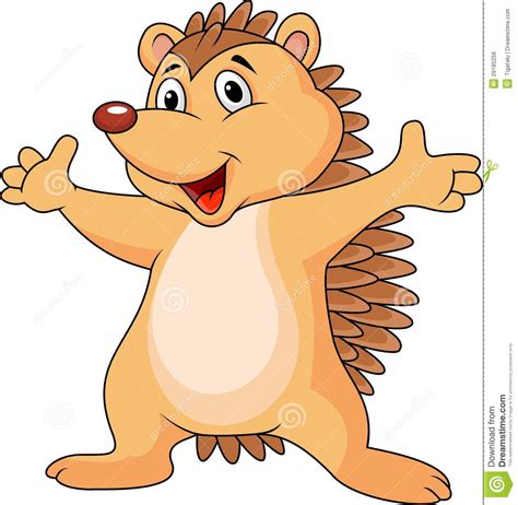 Hedgehog Cartoon Royalty Free Stock Image Image 29185256