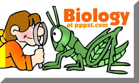 11 Biology Clip Art Preview Biology Clipart HDClipartAll