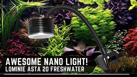 Great Cheap Adjustable Nano Aquarium Light Lominie Asta 20