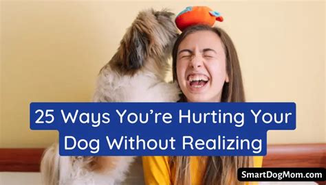 25 Ways Youre Hurting Dog Without Realizing Smart Dog Mom