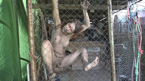 Horrorporn Wild Beast Free Free Wild Xxx Hd Porn 28
