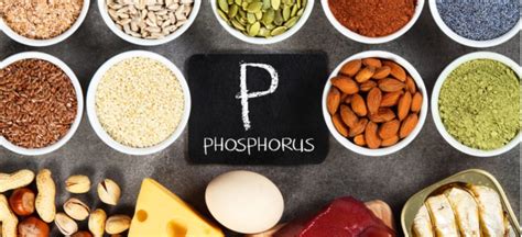 16 Foods High In Phosphorus And Their Health Benefits Dr Axe
