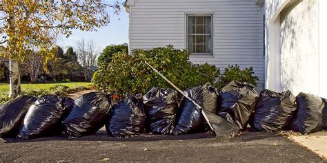 Its Time For Your Spring Yard Cleanup