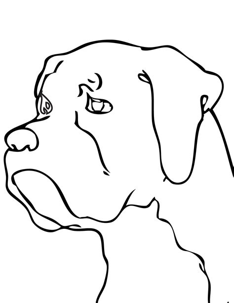 Boxer Dog Coloring Pages At Free Printable Colorings