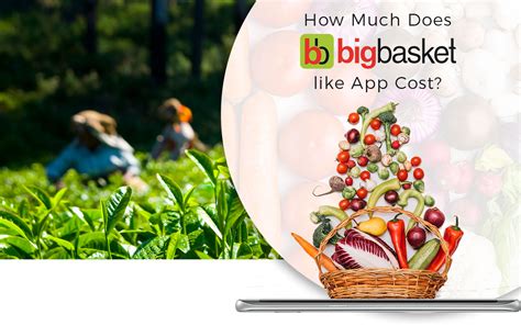 This number grew in 2018 and it will continue to rapidly grow in 2019… because mobile apps are a huge market and a great opportunity for businesses. How Much Does It Cost to Develop an App like Big Basket ...
