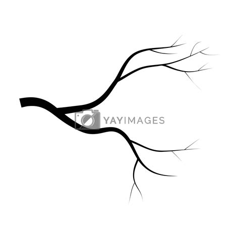 Bare Branch Tree Silhouette Vector Symbol Icon Design Beautiful