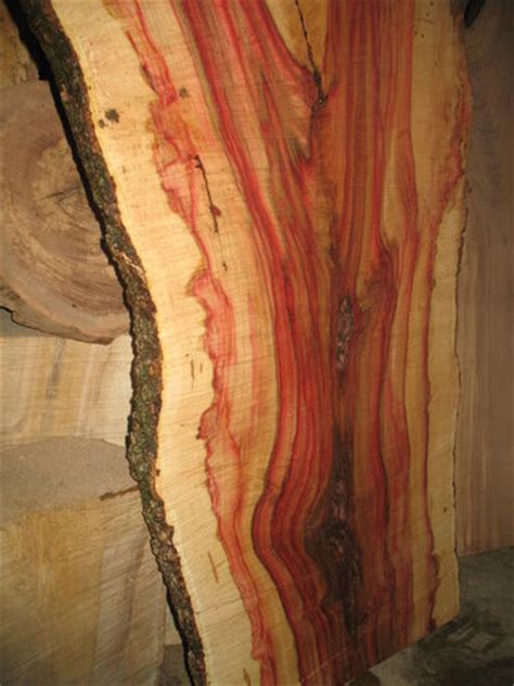 Wood For Sale Flame Box Elder Black Walnut Birdseye Maple Ect