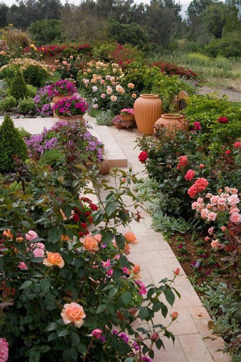 20 Design A Rose Garden Ideas For This Year Sharonsable