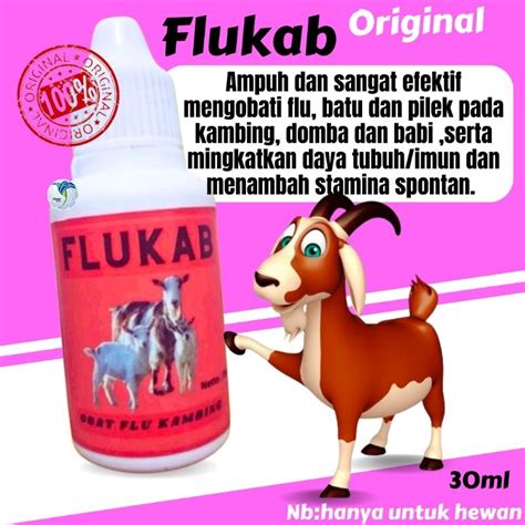 Jual Obat Batuk Kambing Obat Flu Batuk Pilek Ngorok Ganguan Pernafasan