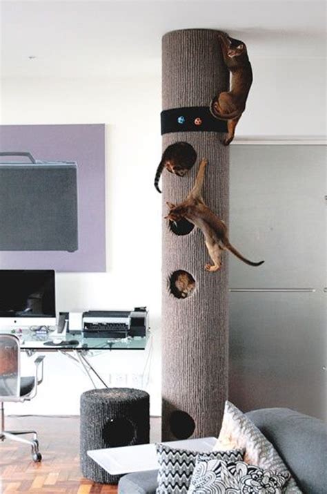 25 Indoor Cat Tree Ideas For Play And Relax Homemydesign