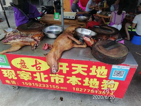 Chinas Dog Meat Festival Is Underway But Activists Hope It Will Be