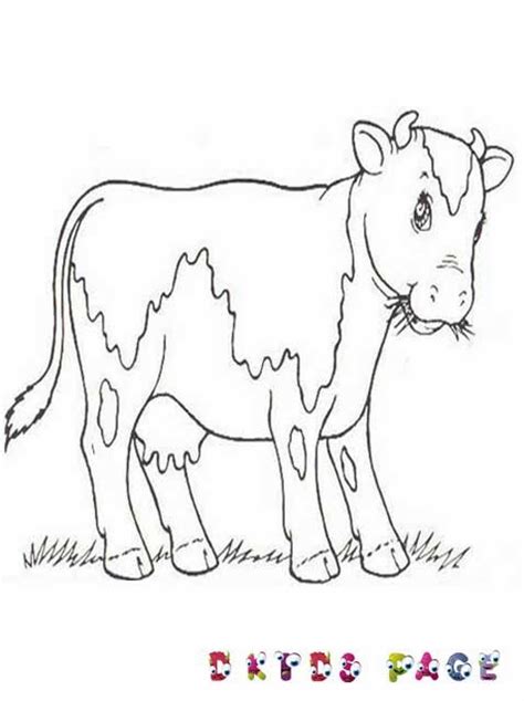 HWFD - Cow Farm Coloring Pages Download | HD Wallapapers Free Download