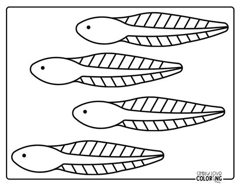 Tadpole Coloring Pages Free Pdf Printables Simply Love Coloring