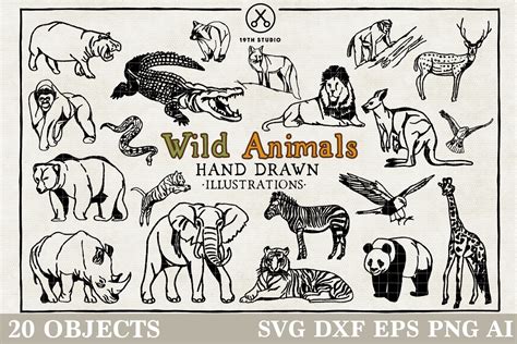 Wild Animals Illustration Pack Svg Dxf Eps Png Vb16
