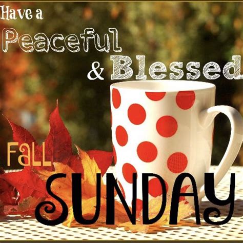 ️ ️ ️ Fall Sunday Blessings Sunday Greetings Good Morning Happy